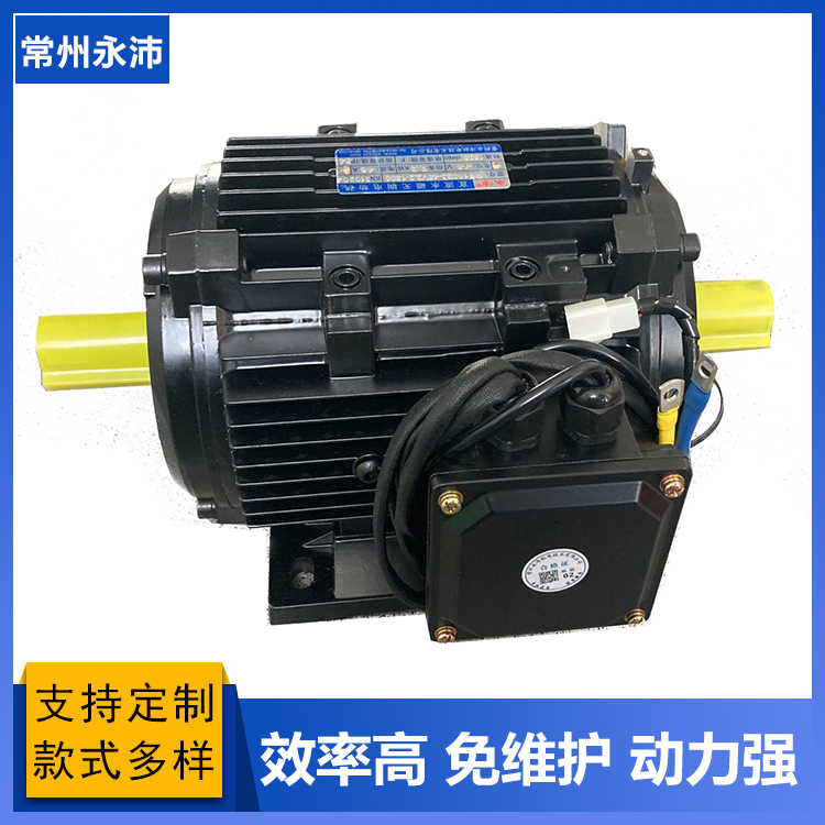 供應低壓軌道平車電機 驅動器及整流器 24V 36V 48V 72V 110V