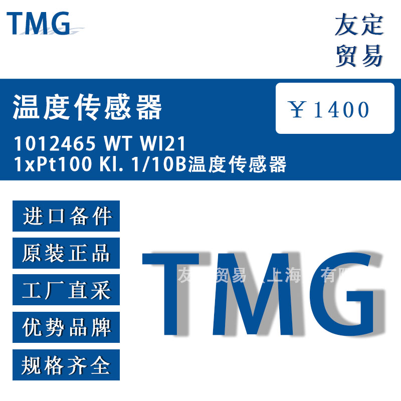 德國TMG  1012465 WT WI211xPt100 Kl.1/10B溫度傳感器